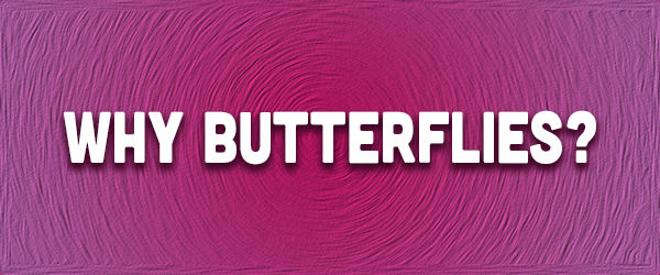 Why-Butterflies